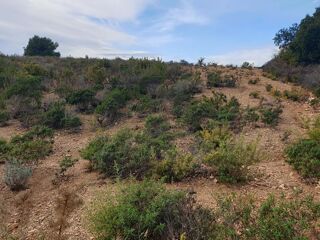  Terrain à vendre 10000 m²