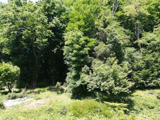  Terrain � vendre 8000 m�