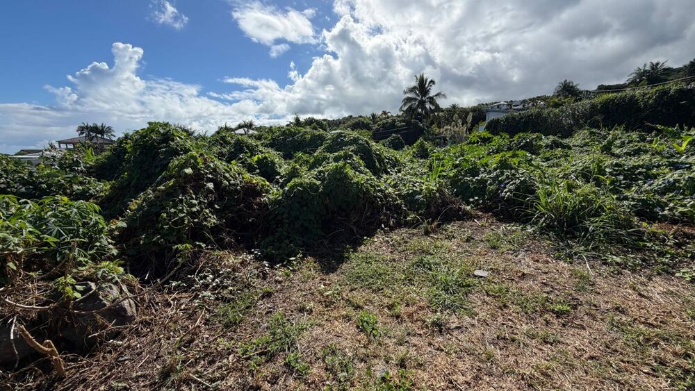 Vente Terrain Terrain À Vendre La possession