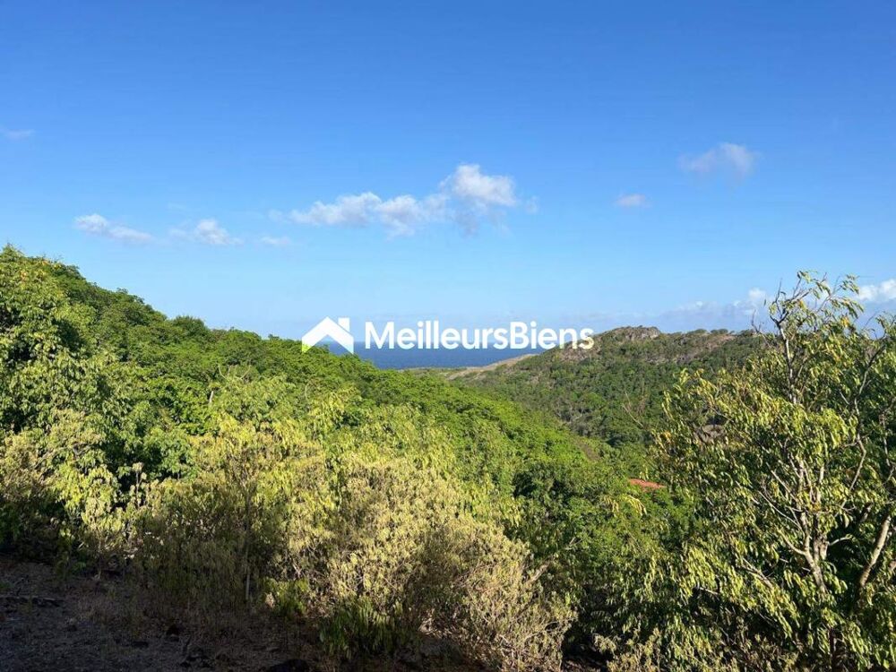 Vente Terrain A VENDRE 4 MAGNIFIQUES TERRAINS  VUE MER ET MONTAGNES A TERRE DE HAUT LES SAINTES Les saintes