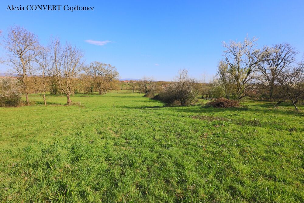 Vente Terrain 4045 m² - Vue 3