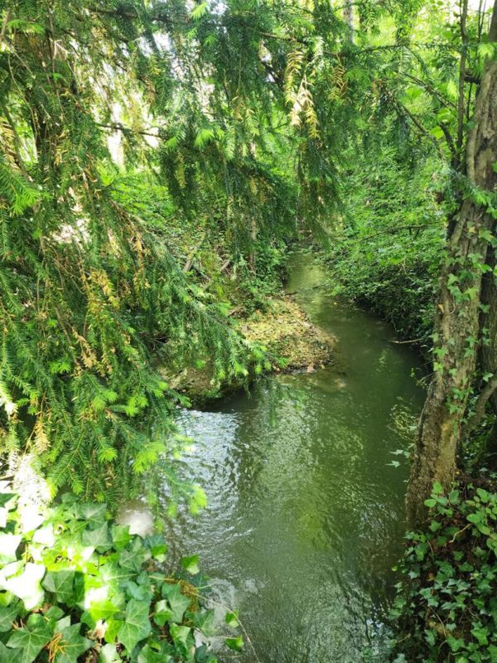 Vente Moulin Moulin Perrusson 16 pièce(s) 352 m2 Perrusson