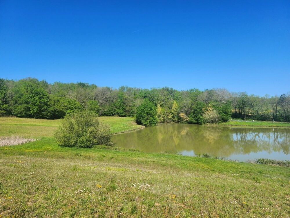Vente Terrain Terrain  avec étang de pêche en campagne -  3.54 ha- à vendre - VILLENEUVE SUR LOT (47) Villeneuve sur lot