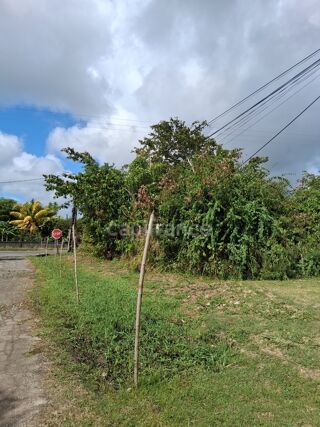  Terrain � vendre 800 m�