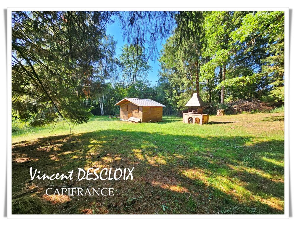 Vente Terrain Terrain 19 965m² avec étang à vendre  GIEN SUR CURE (58230) Gien sur cure