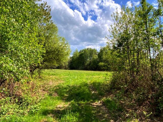  Terrain � vendre 15743 m�