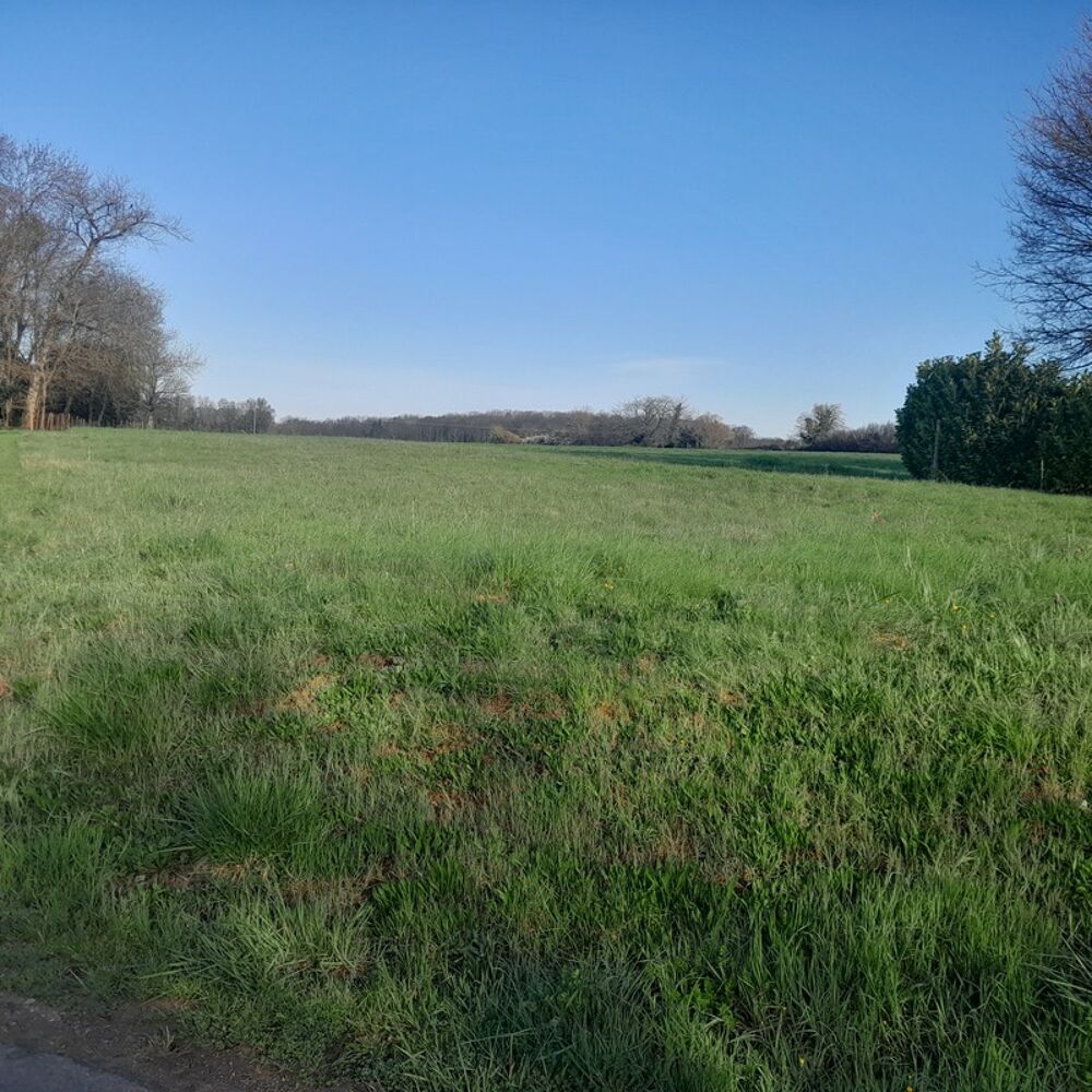 Vente Terrain Terrain plat 1980 m² à la campagne – cadre calme – mandat exclusif - SAINT SORNIN (16) Saint sornin