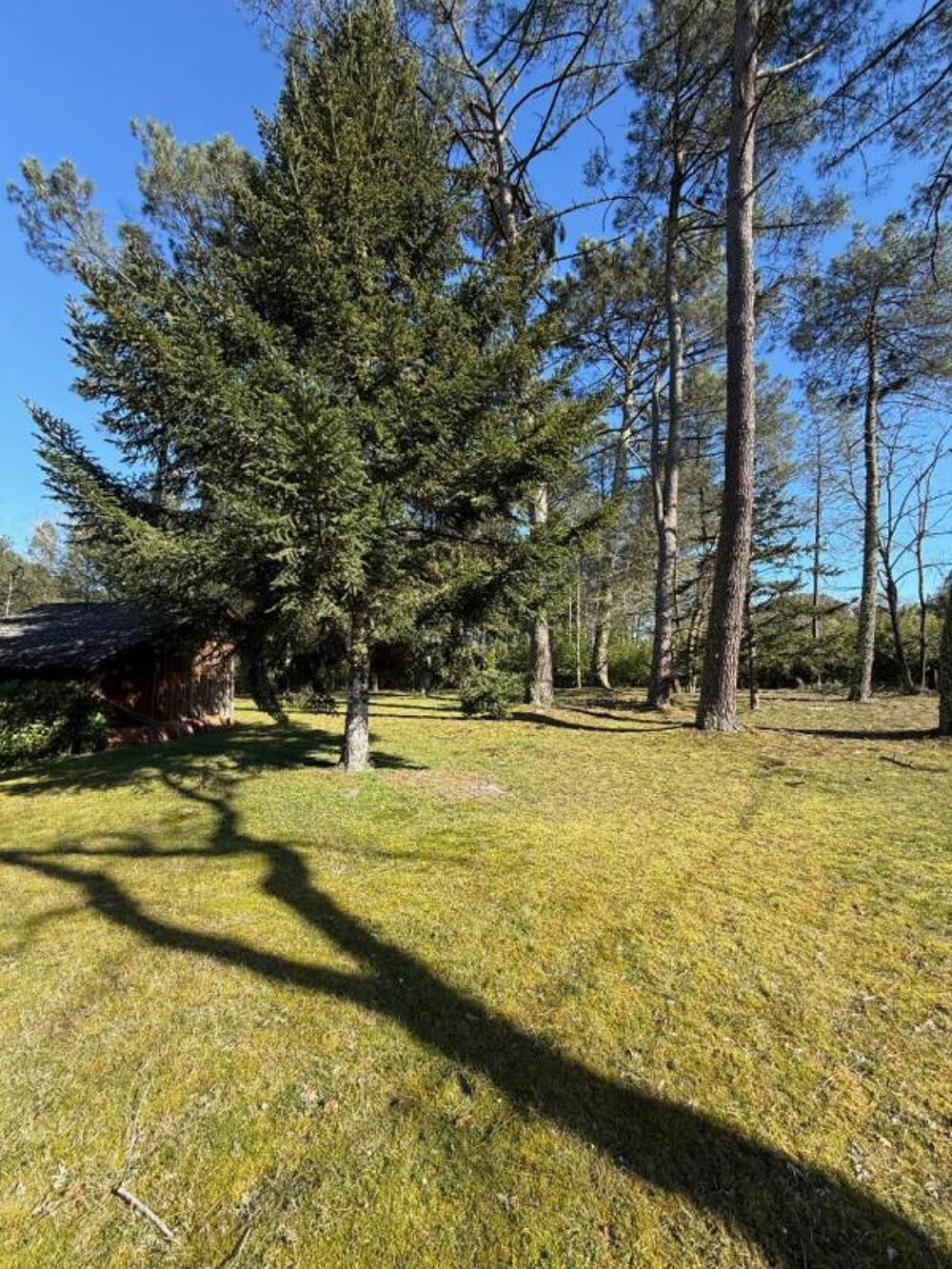 Vente Maison Maison Mont De Marsan 5 pièce(s) 130 m2 Campet et lamolere