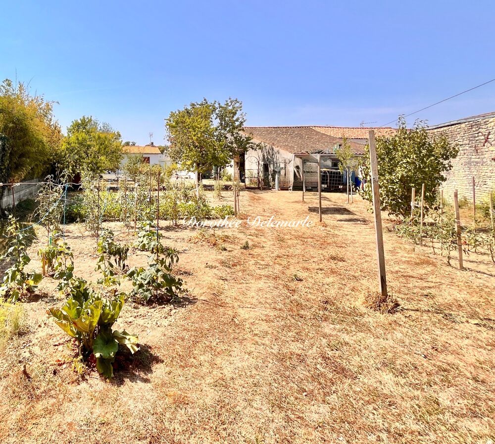 Vente Maison Maison à vendre 9 pièces SAINTE SOULLE (17) Ensemble immobilier rare : deux maisons, grandes dépendances et deux accès Sainte soulle