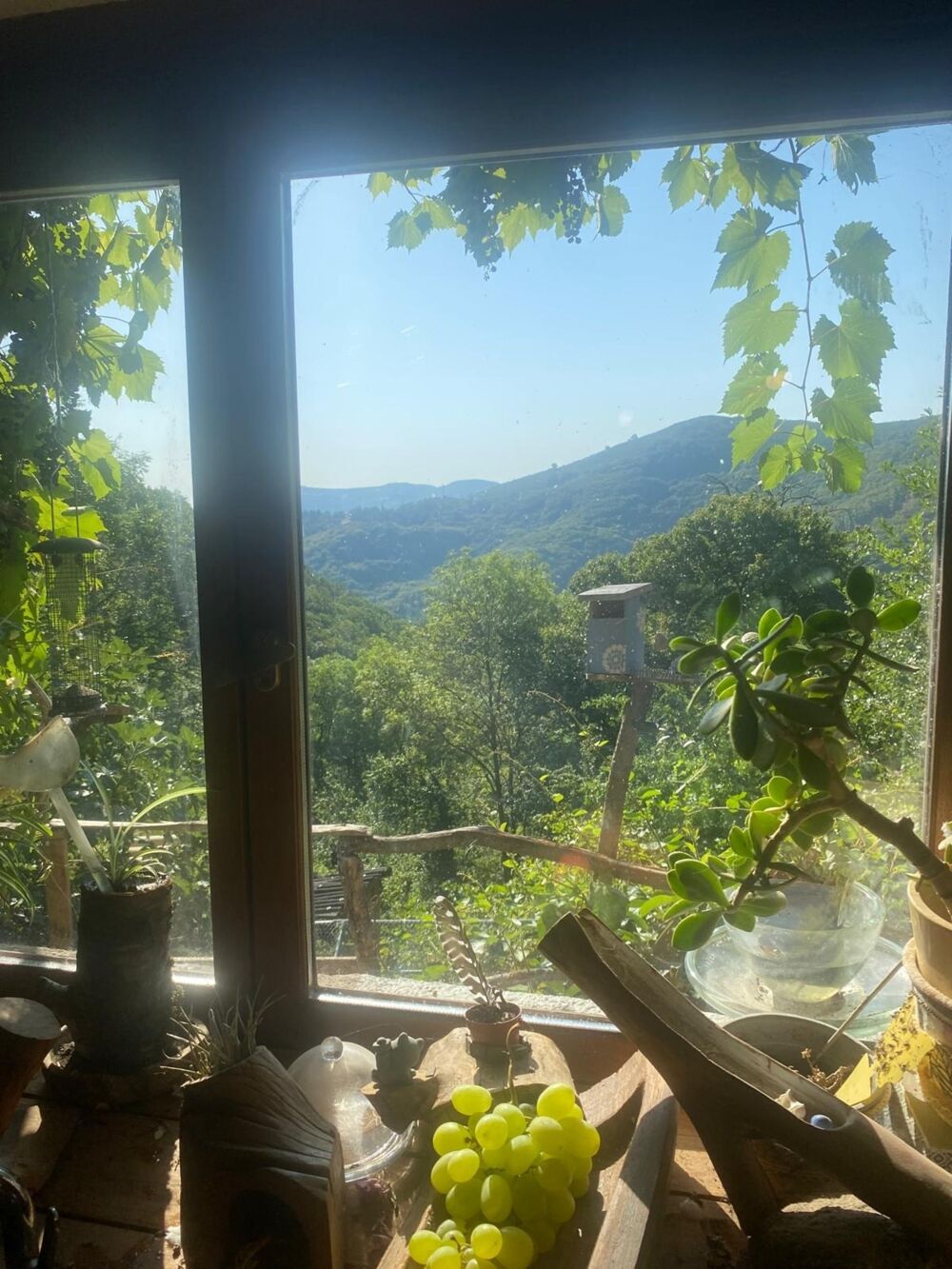 Vente Maison Maison à vendre 4 pièces avec Gîtes indépendants SAINT JULIEN DU GUA (07) Saint julien du gua