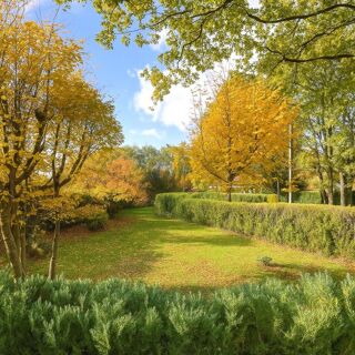  Terrain � vendre 655 m�