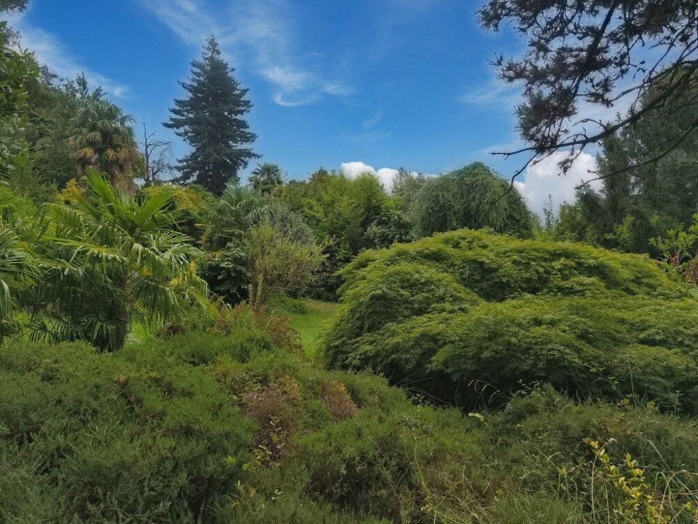 à vendre  Maison Salies-de-Béarn (64270)