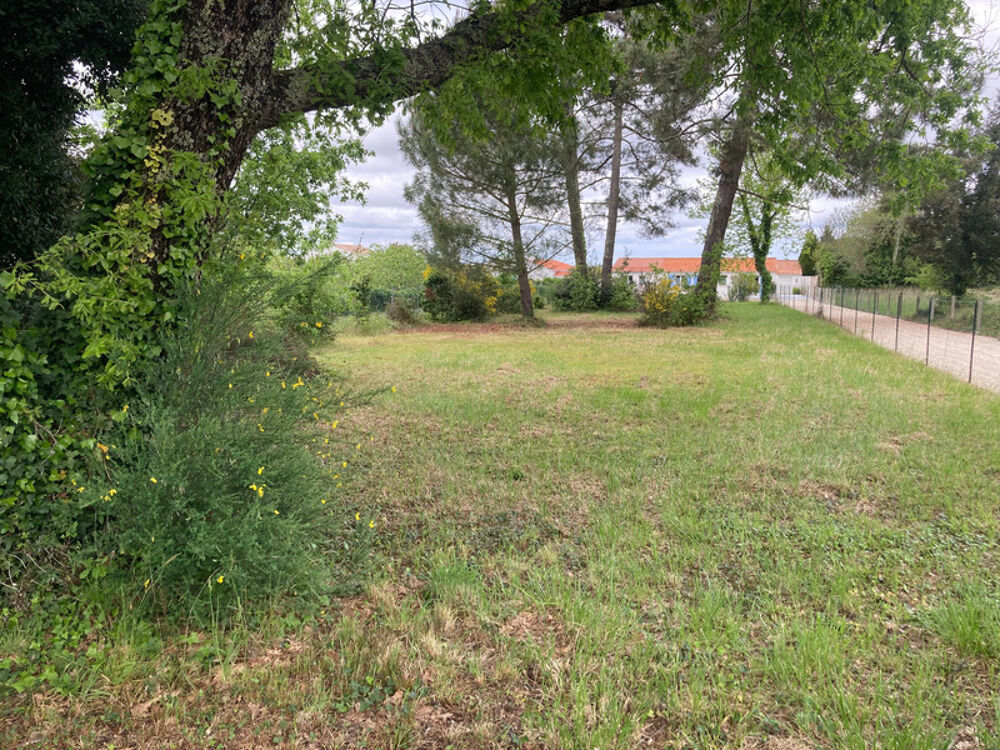 Vente Terrain Dpt Charente Maritime (17), à vendre SAINT-AUGUSTIN , terrain à bâtir de 964 m² Saint augustin