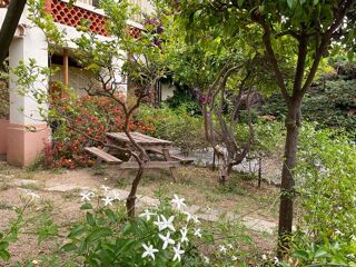  Appartement � louer 1 pi�ce 35 m�