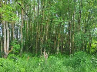  Terrain  vendre 4985 m