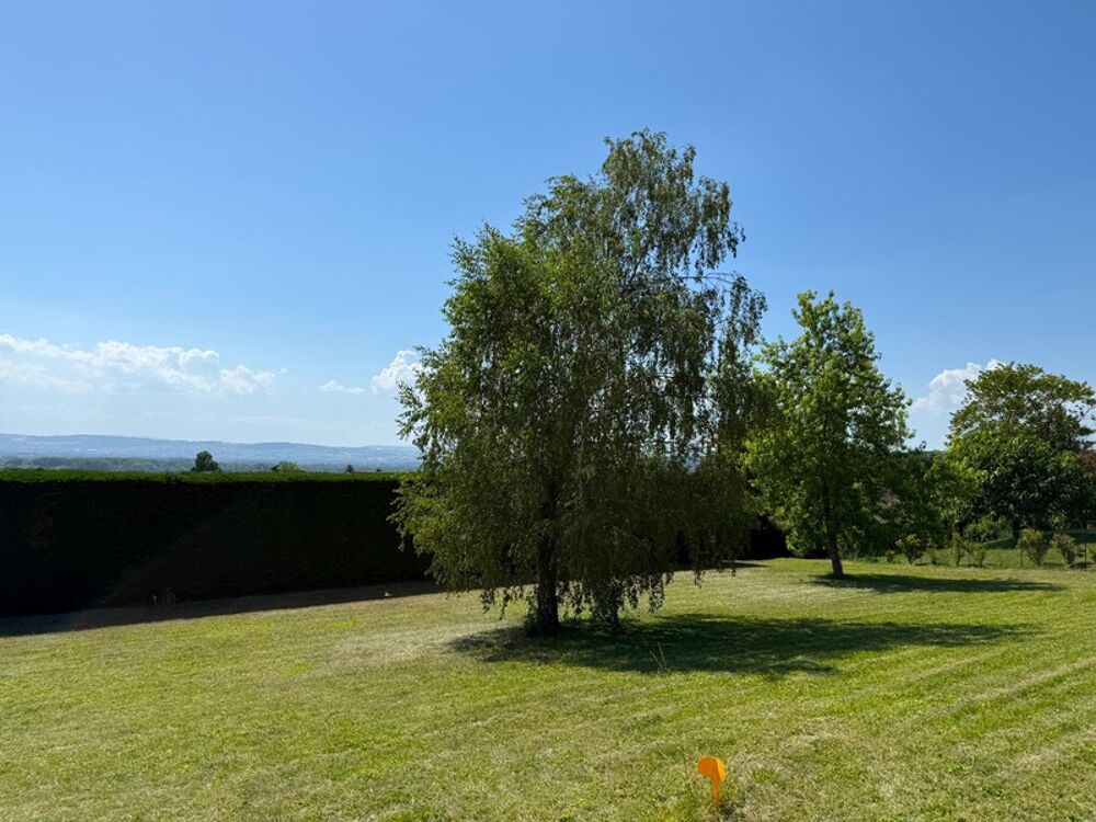 Vente Terrain Reyrieux - A vendre magnifique terrain plat de 1052 m² Reyrieux