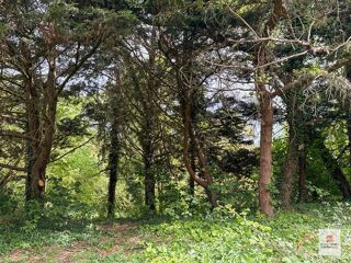  Maison � vendre 7 pi�ces 127 m�