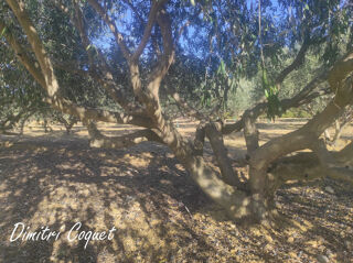  Terrain � vendre 3300 m�