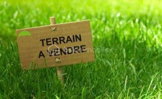  Terrain à vendre 320 m²