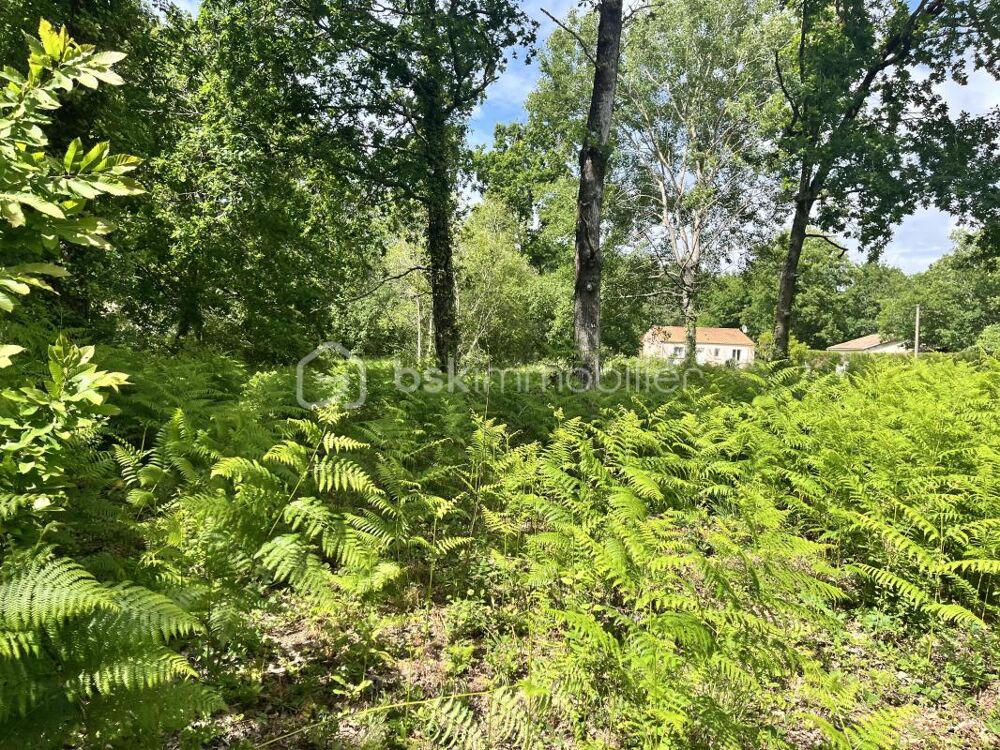 Vente Terrain terrain constructible Grayan et l hopital
