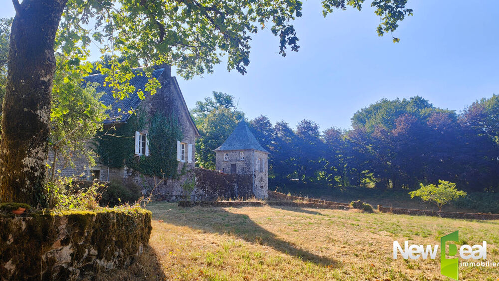 à vendre  Propriété/château Marcillac-la-Croisille (19320)
