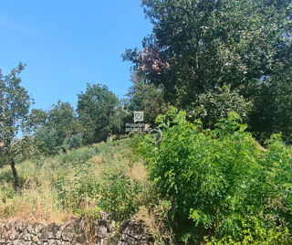  Terrain  vendre 785 m