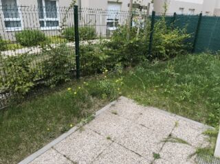  Appartement � louer 1 pi�ce 26 m�