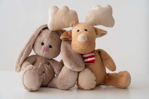   A vendre Fonds de commerce JEUX, JOUETS, ACTIVITES ET CADEAUX ORIGINAUX :  Le magasin ludique et familial incontournable du cent 
