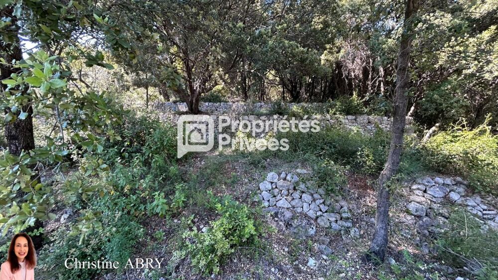 Vente Terrain Bargemon Terrain de 2020 m2 Bargemon