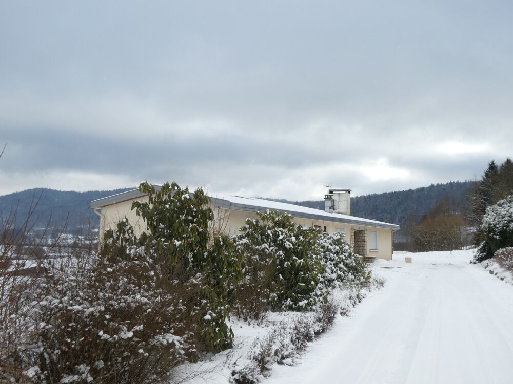 RUPT SUR MOSELLE (88)A vendre propriété T 10 pièces de 195m² sur sous sol + 4 box à chevaux +rucher, terrain 3.6 hectares