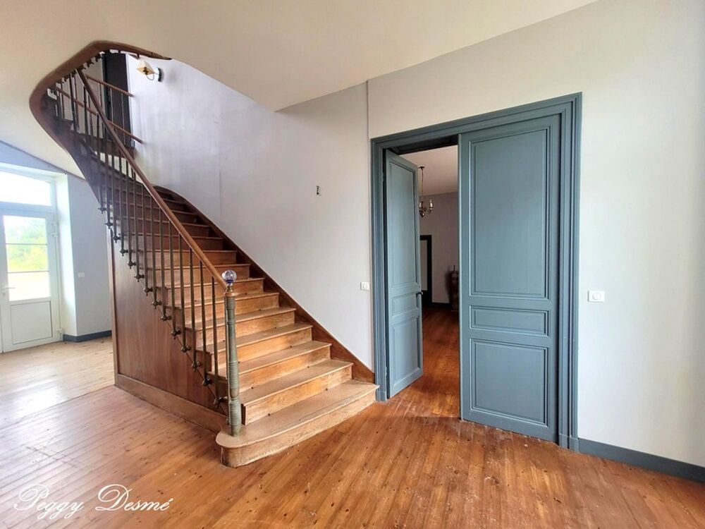 Vente Propriété/Château Propriété à vendre 14 pièces SAINT JEAN D'ANGELY (17) - Ancien domaine viticole, Bâti de 940 m2, Maison de maître, Dépendances Saint jean d angely