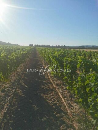  Terrain  vendre 165000 m