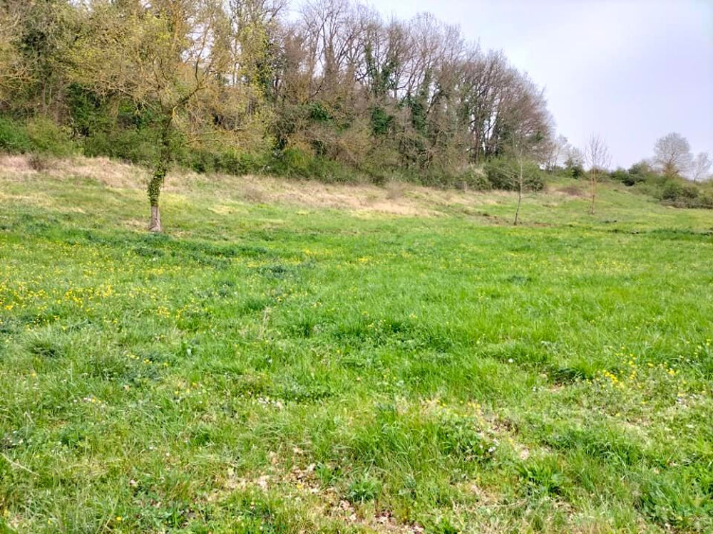Vente Terrain Terrain Avezan 2735 m2 Saint clar