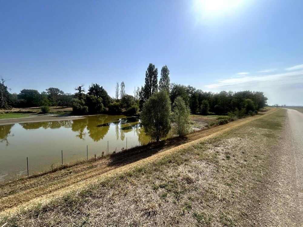 Vente Terrain Splendide PLAN D'EAU situé à 15 minutes de Nevers Jouet sur l aubois