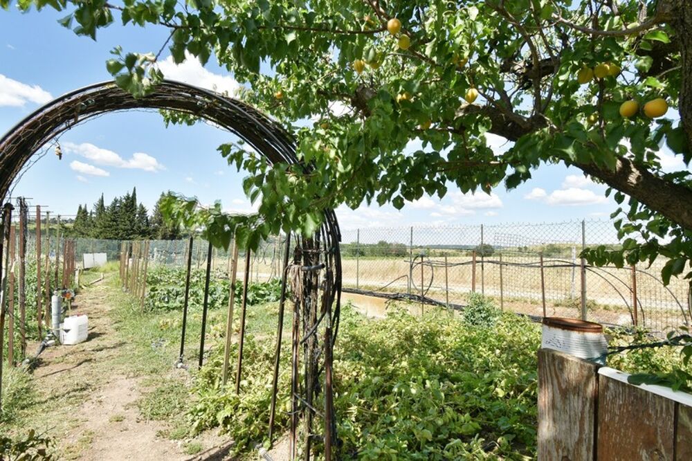 Maison à vendre 5 pièces MAUREILHAN (34)