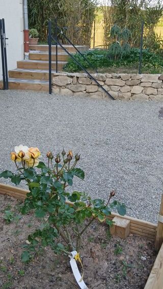  Maison à louer 4 pièces 84 m² Ville sous anjou