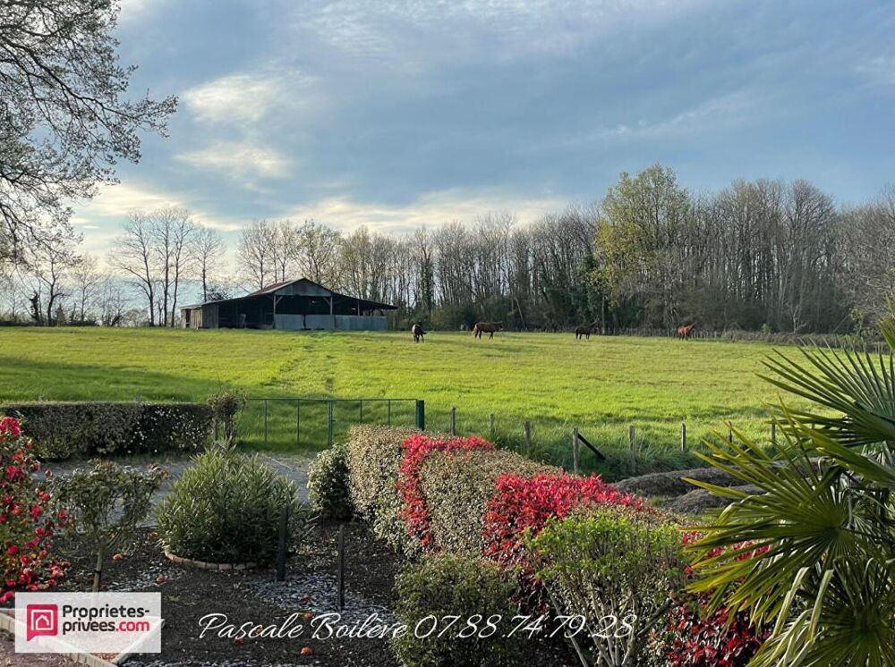 Vente Maison Charmante maison sur sous-sol avec terrain de 16 612 m² (possibilité jusqu'à 7 ha)- MOULIHERNE (49390) Mouliherne
