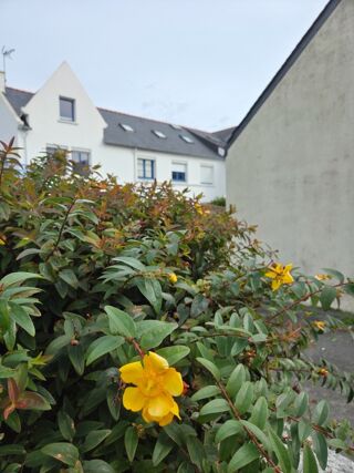  Appartement  vendre 2 pices 41 m