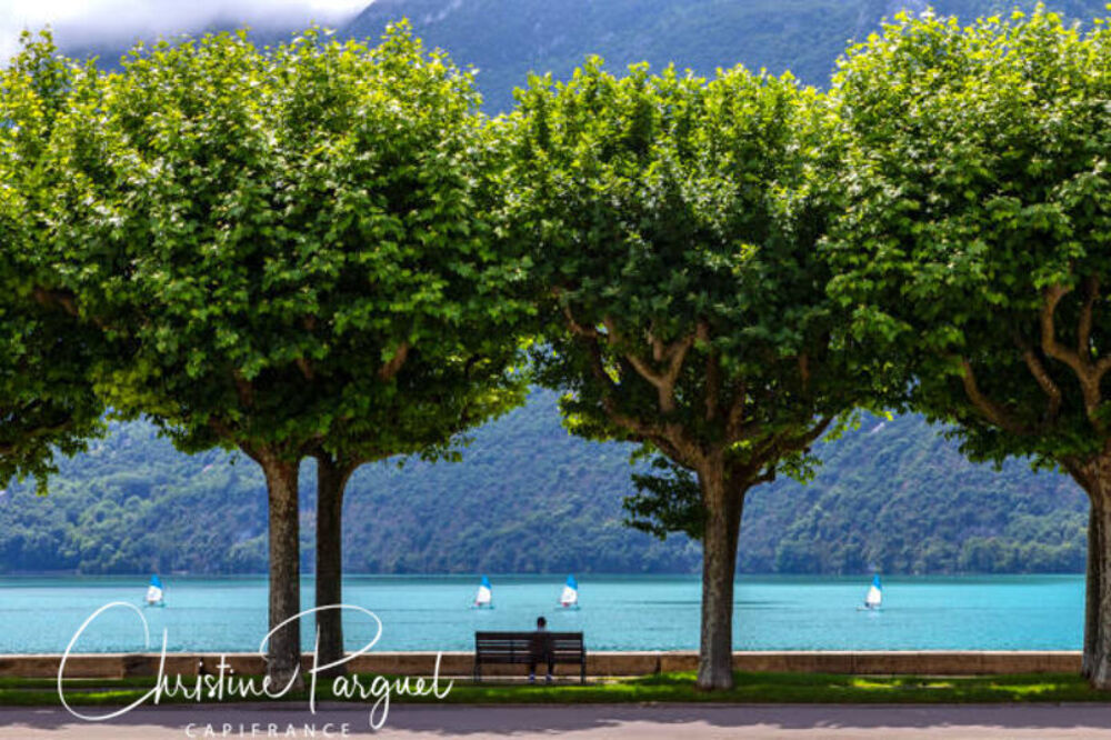 � vendre  Appartement Aix-les-Bains (73100)