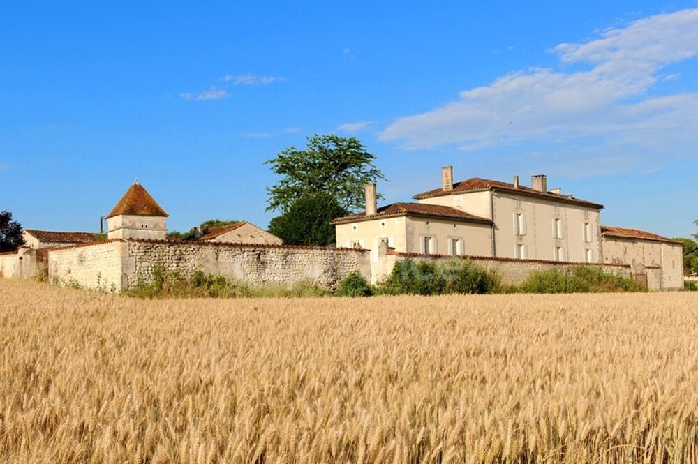 à vendre  Propriété/château Cognac (16100)