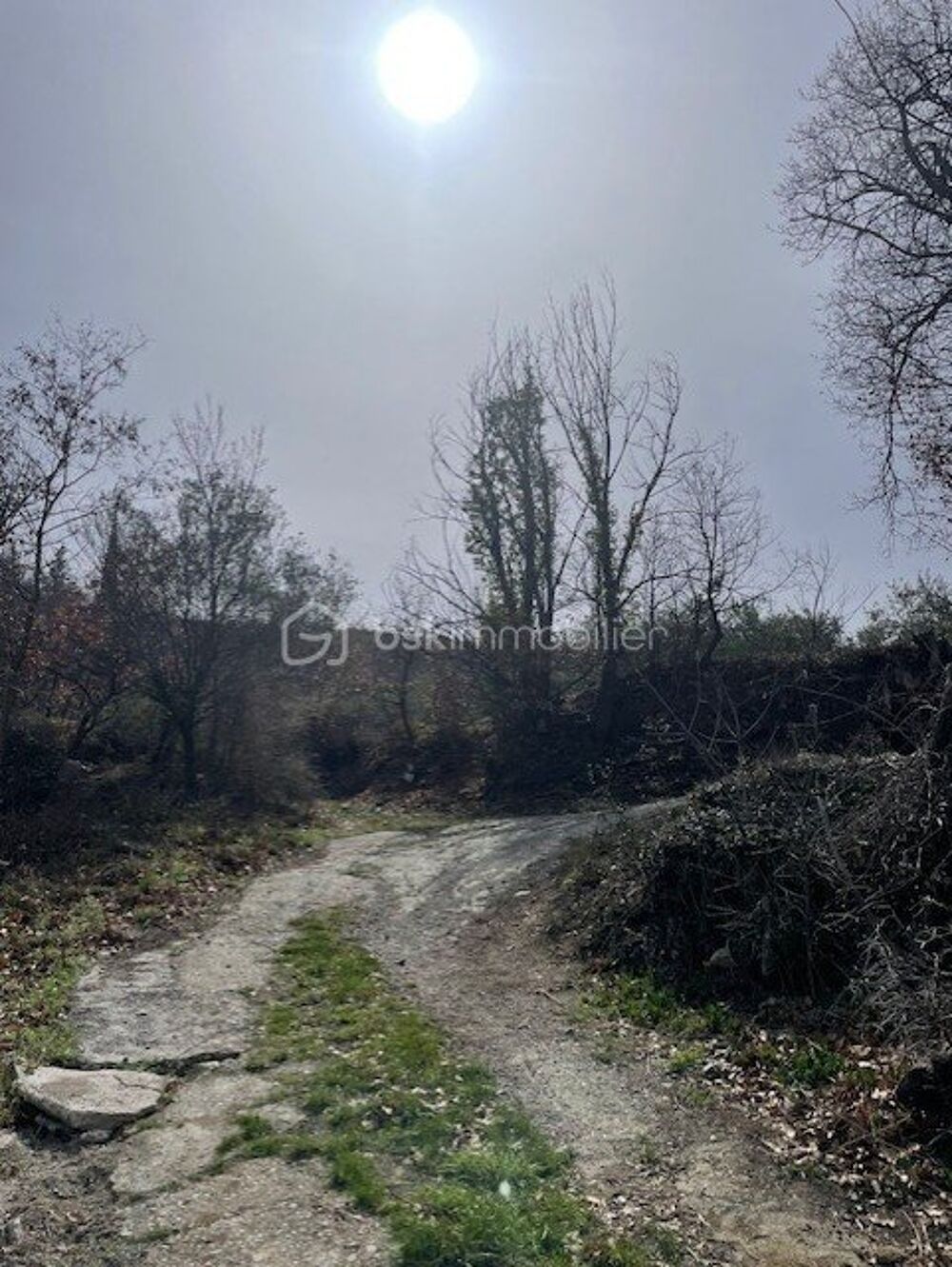 Vente Terrain Terrain agricole de 4607 m2 à Marquixanes Marquixanes