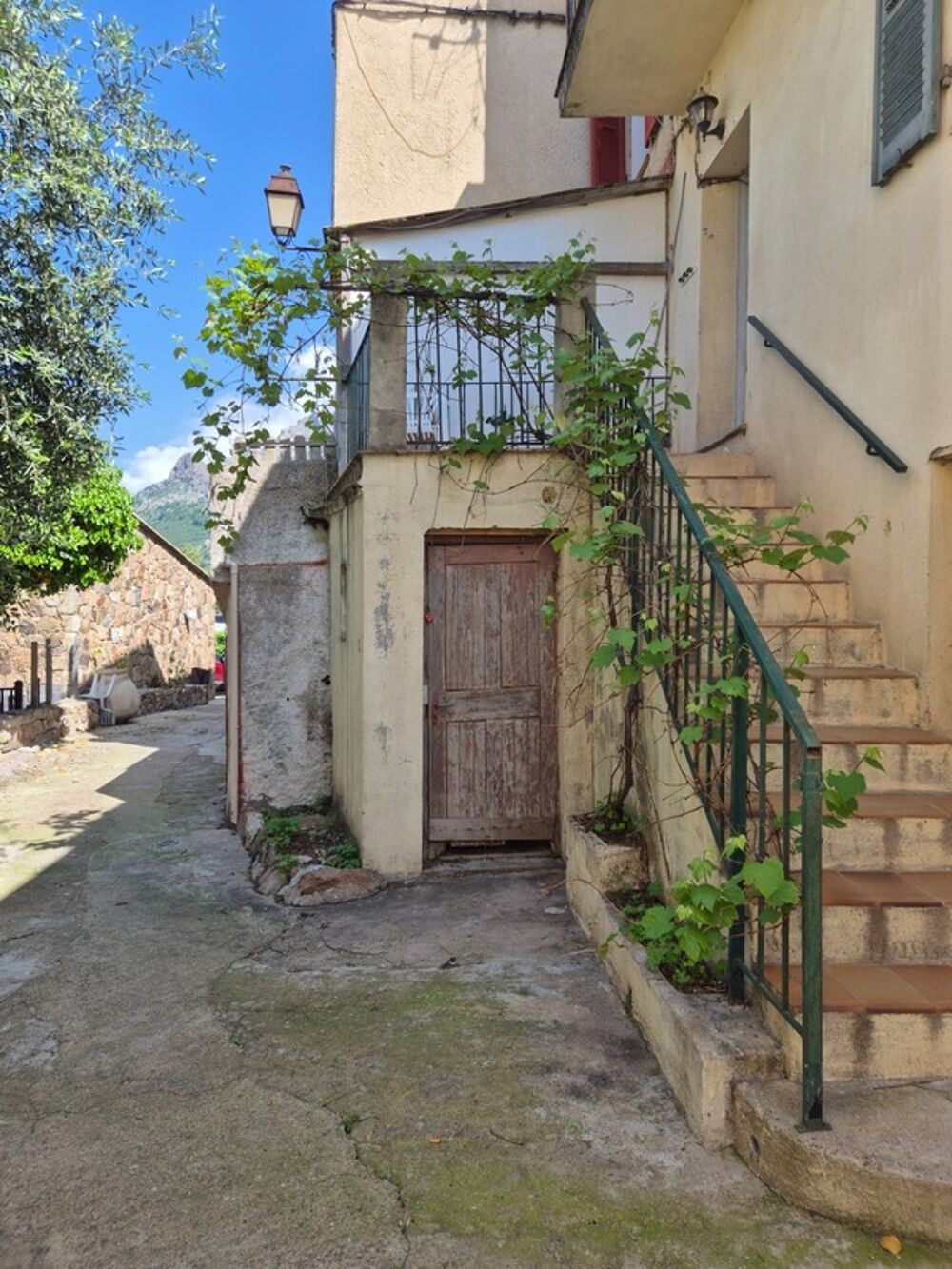 Maison à vendre 3 pièces CALENZANA (20)