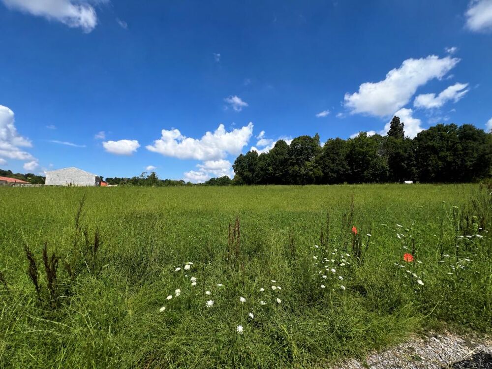 Vente Terrain Terrain Limoges