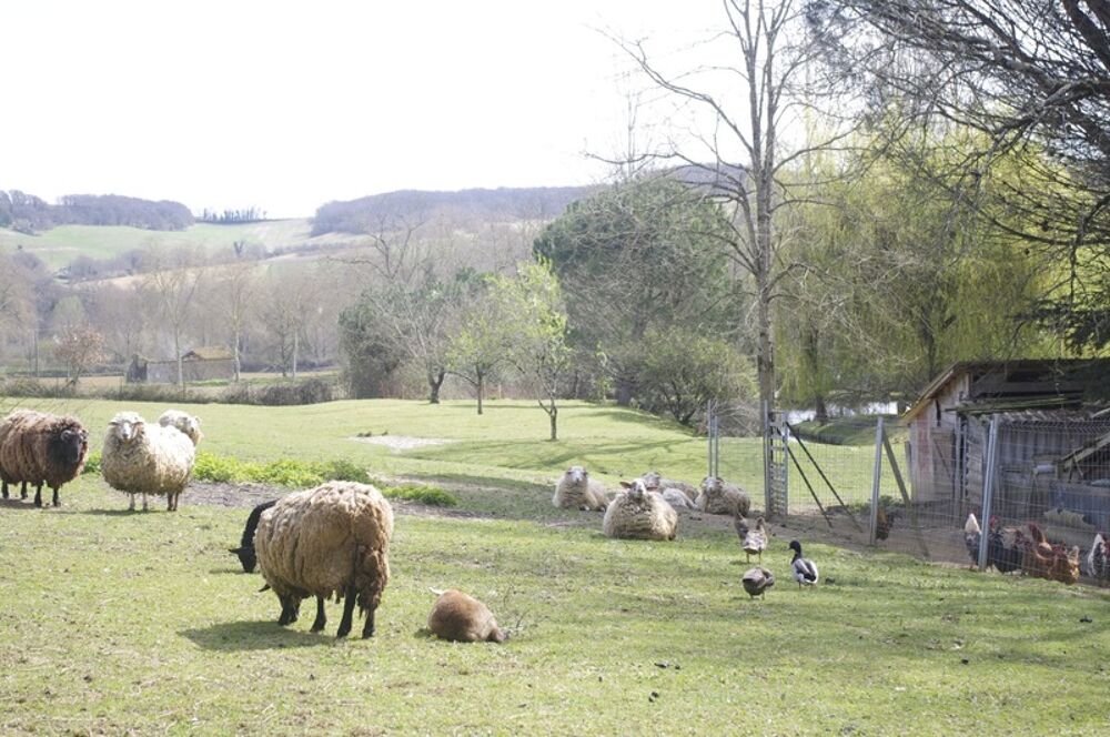 SAINT JEAN POUTGE 32, à vendre propriété de charme 8 pièces , dépendances et terrain arboré avec point d'eau