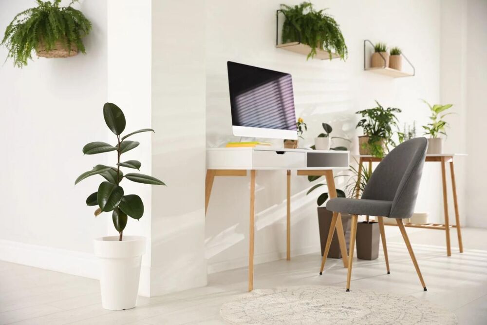 Vente Appartement **Opportunité à saisir 5 pièces avec magnifique Jardin à 250 mètres de la mairie** Les lilas