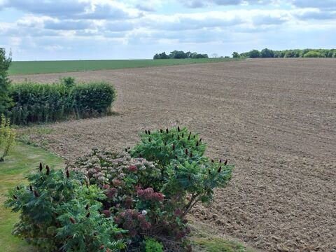  Appartement � louer 1 pi�ce 27 m�