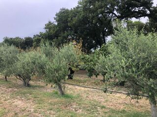  Terrain � vendre 900 m�