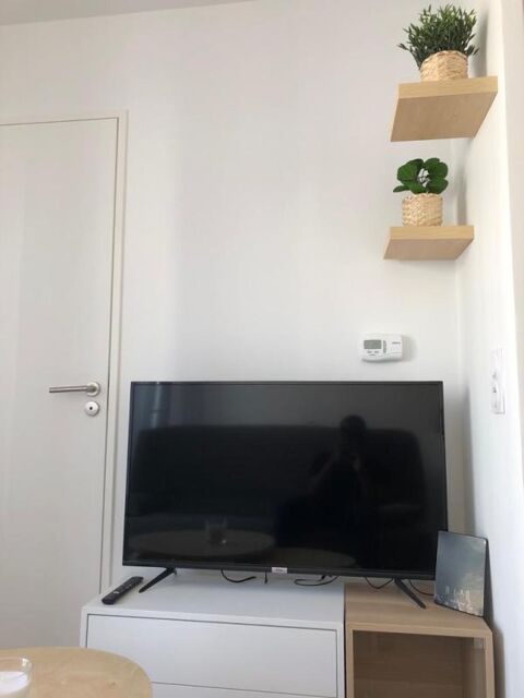  Appartement � louer 1 pi�ce 24 m�