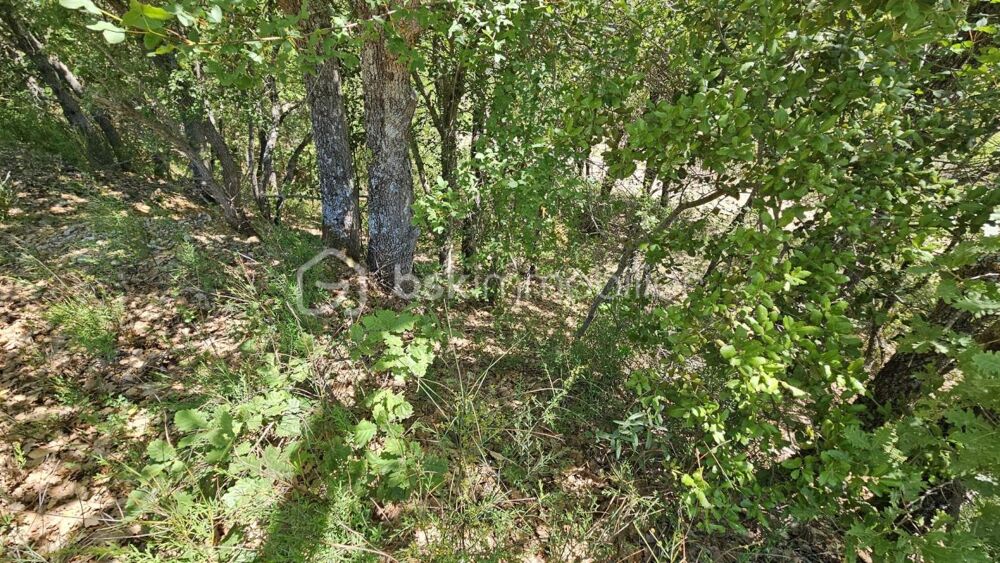 Vente Terrain TERRAIN NON CONSTRUCTIBLE - BRUNET 04210 Brunet