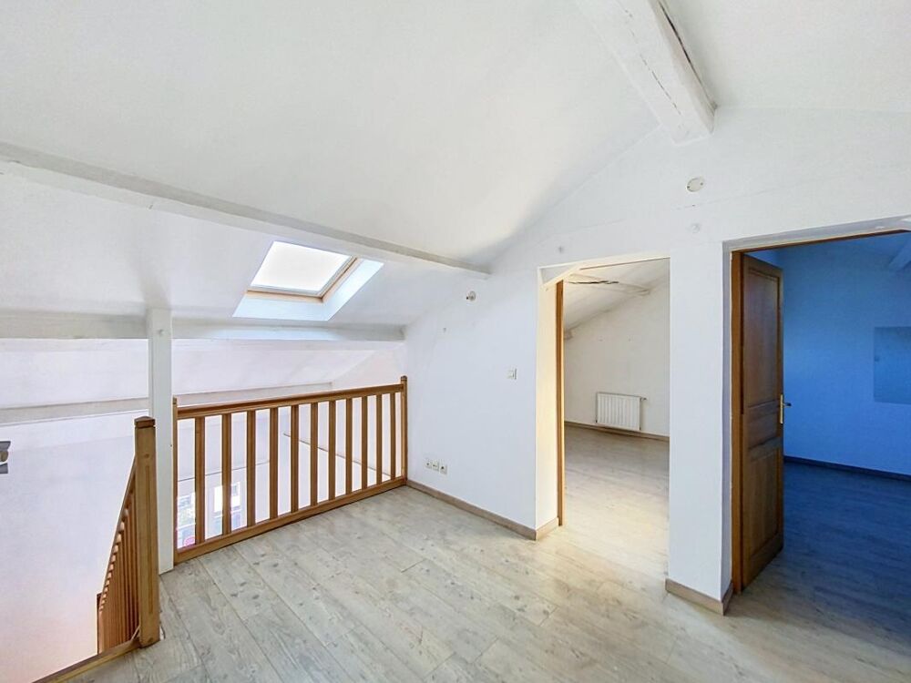 Vente Duplex/Triplex Duplex baigné de lumière Lyon 7